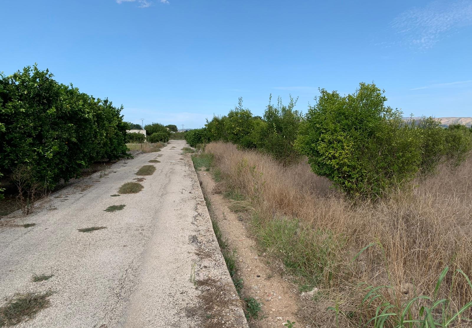 Compra finca rstica en cpartida foyes Manuel por 14000 de 3232m