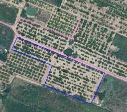 Solar en venta en Calle Seits, Baj, 12520, Nules Castellón