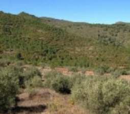 Terreno con edificación Segorbe