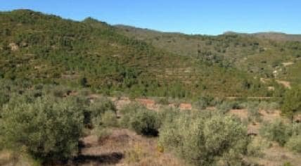 Terreno con edificación Segorbe