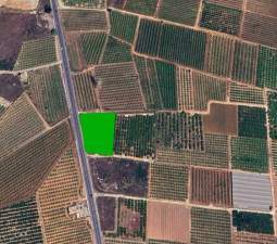 Terreno en venta en Guadasuar, Valencia