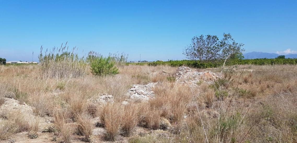 Suelo No Urbanizable en venta en Partida Carrascal el, Sn, 46610, Guadasuar Valencia