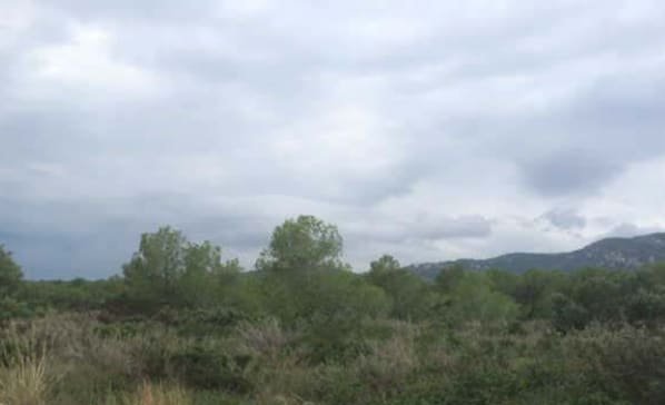 Terreno en venta en Peñíscola