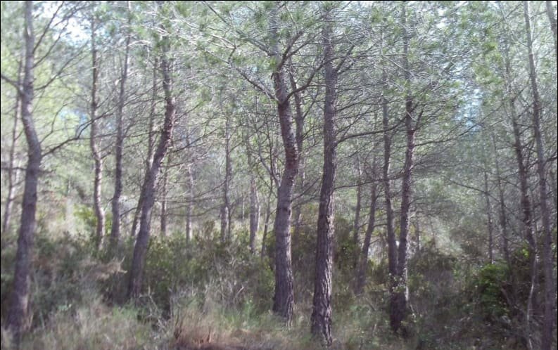 Terreno en venta en Peñíscola