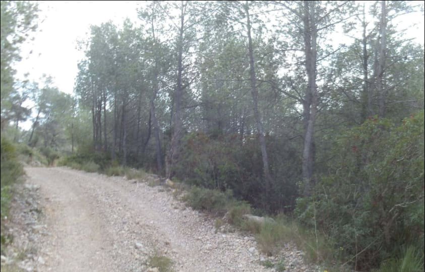 Terreno en venta en Peñíscola