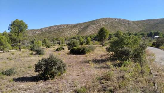 Solar en venta en Urbanizacin Llanorel Macastre Valencia