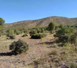 Solar en venta en Urbanizacin Llanorel Macastre Valencia