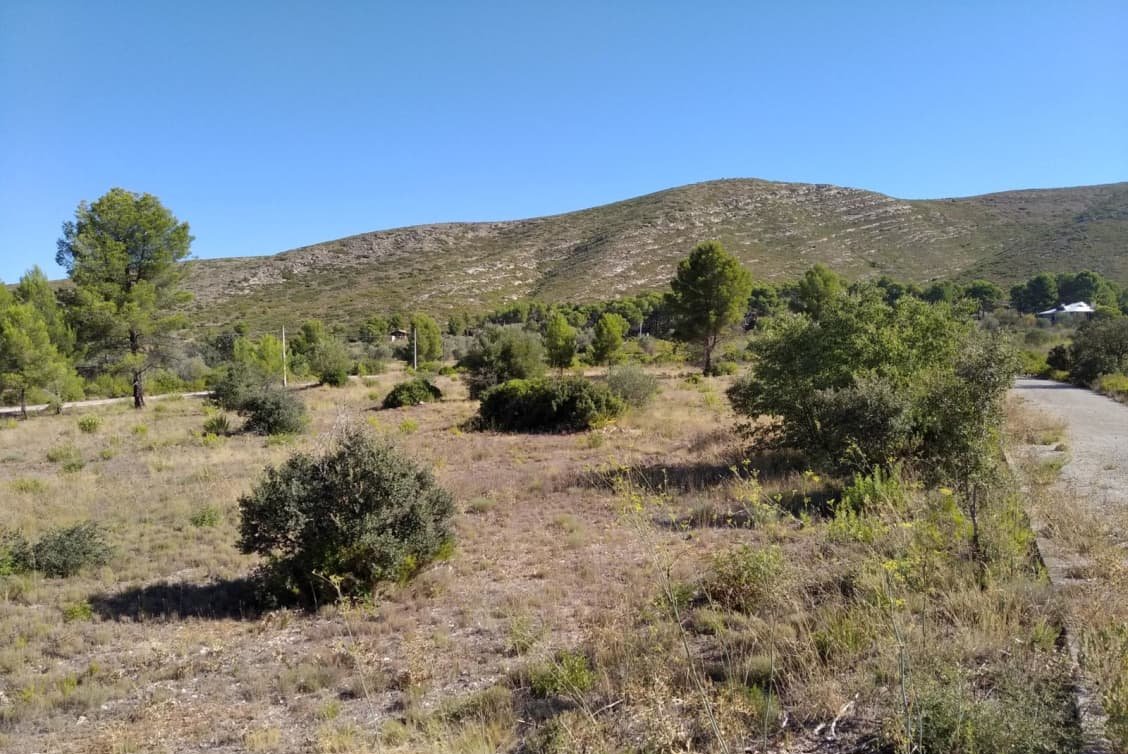 Solar en venta en Urbanizacin Llanorel Macastre Valencia