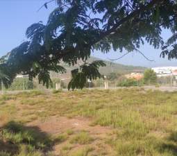 Terreno en venta en Cabanes, Castellón