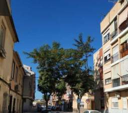 Piso en C Dr. Gregorio Marañón, Cieza Murcia