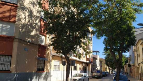 Piso en C Dr. Gregorio Marañón, Cieza Murcia