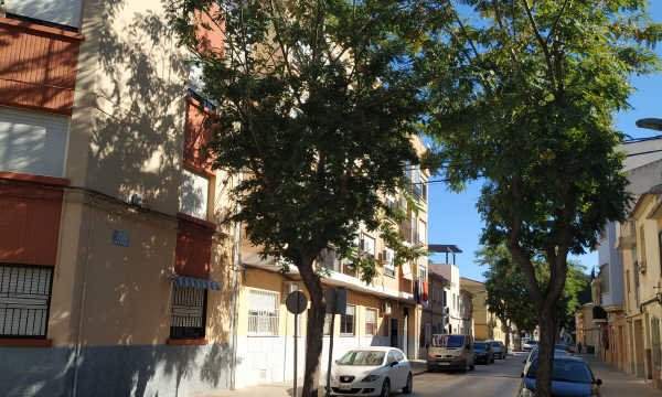 Piso en C Dr. Gregorio Marañón, Cieza Murcia