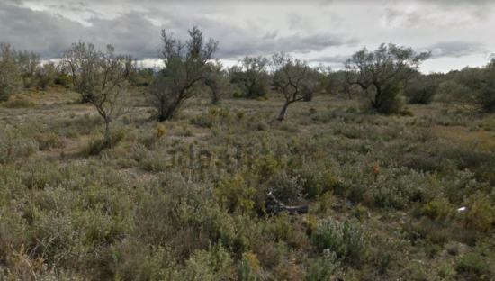 Se oferta finca rstica por 1000 de 970m en cheredad de olivos en partida mas roig polgono 9 parcela 93 San Rafael del Ro