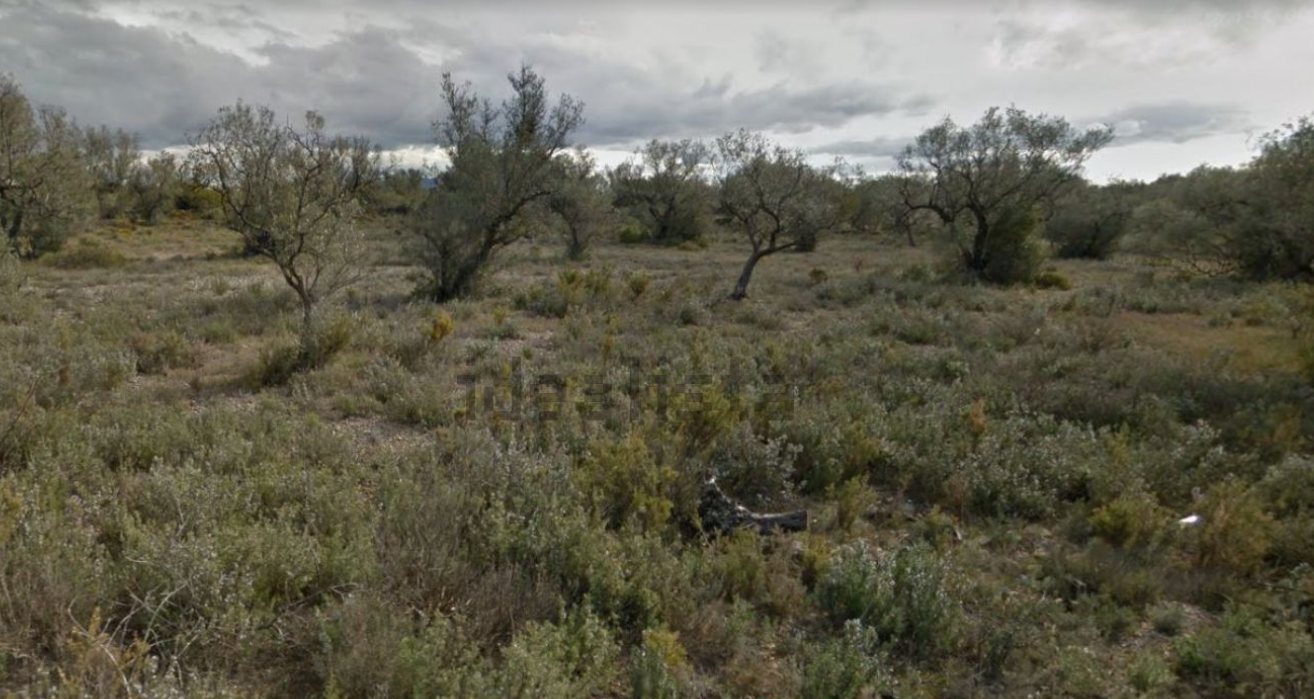 Se oferta finca rstica por 1000 de 970m en cheredad de olivos en partida mas roig polgono 9 parcela 93 San Rafael del Ro