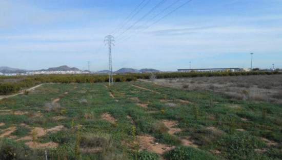 Terreno en venta en Sagunto, Valencia
