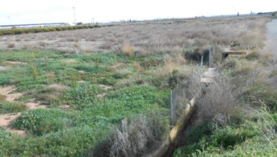 Terreno en venta en Sagunto, Valencia
