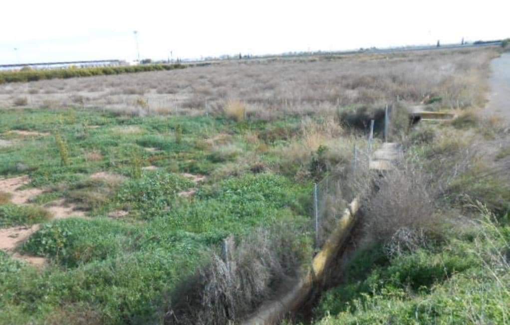 Terreno en venta en Sagunto, Valencia