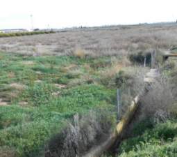Terreno en venta en Sagunto, Valencia