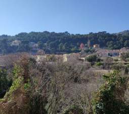 Descubre finca rstica en ctravesia sant francesc n30 parcela 107 Serra por 121000 de 2346m