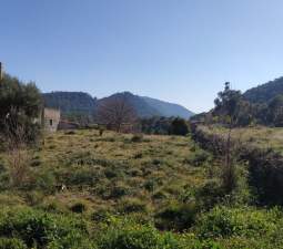 Descubre finca rstica en ctravesia sant francesc n30 parcela 107 Serra por 121000 de 2346m