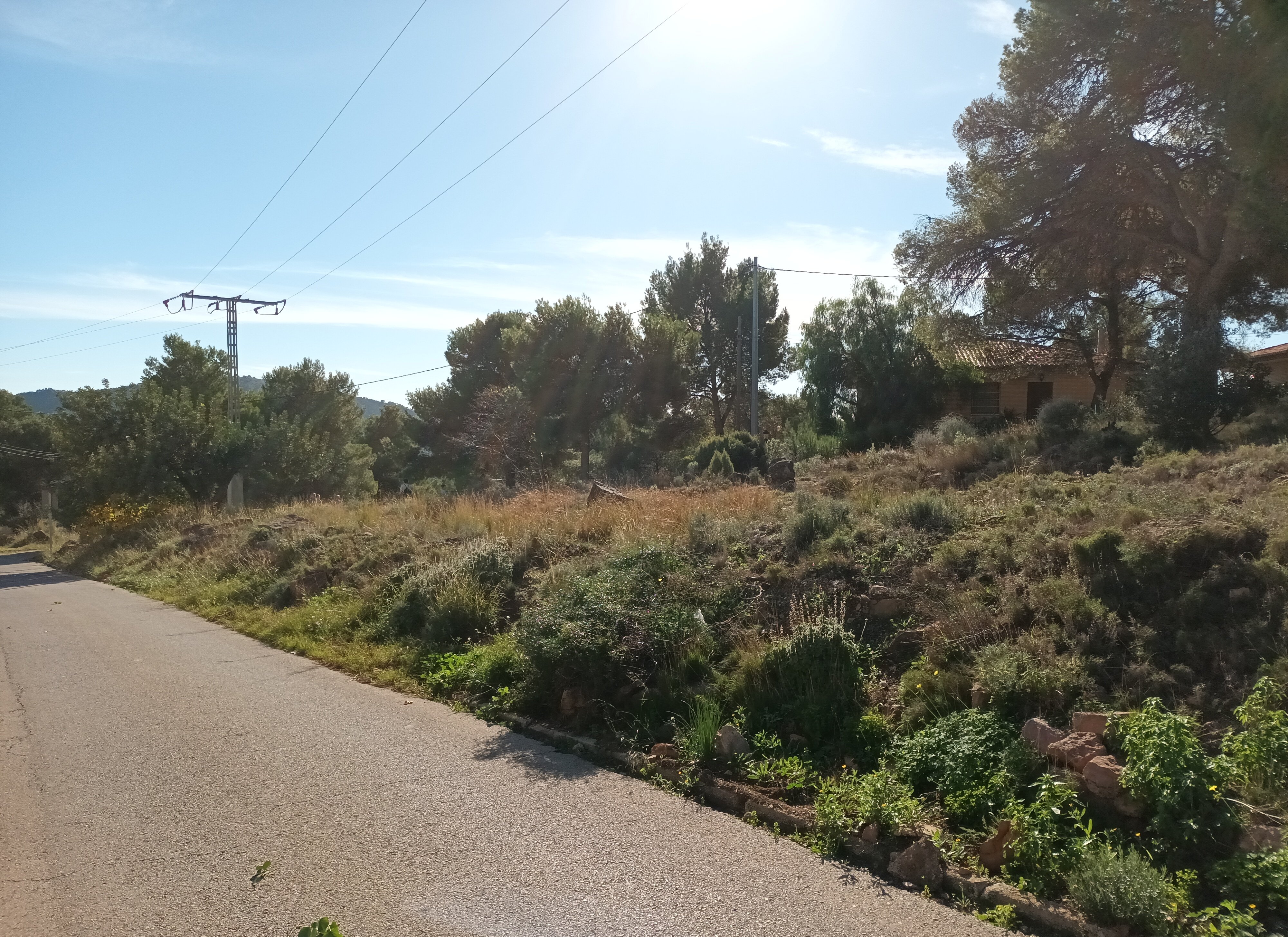 Descubre finca rstica en ctravesia sant francesc n30 parcela 107 Serra por 121000 de 2346m