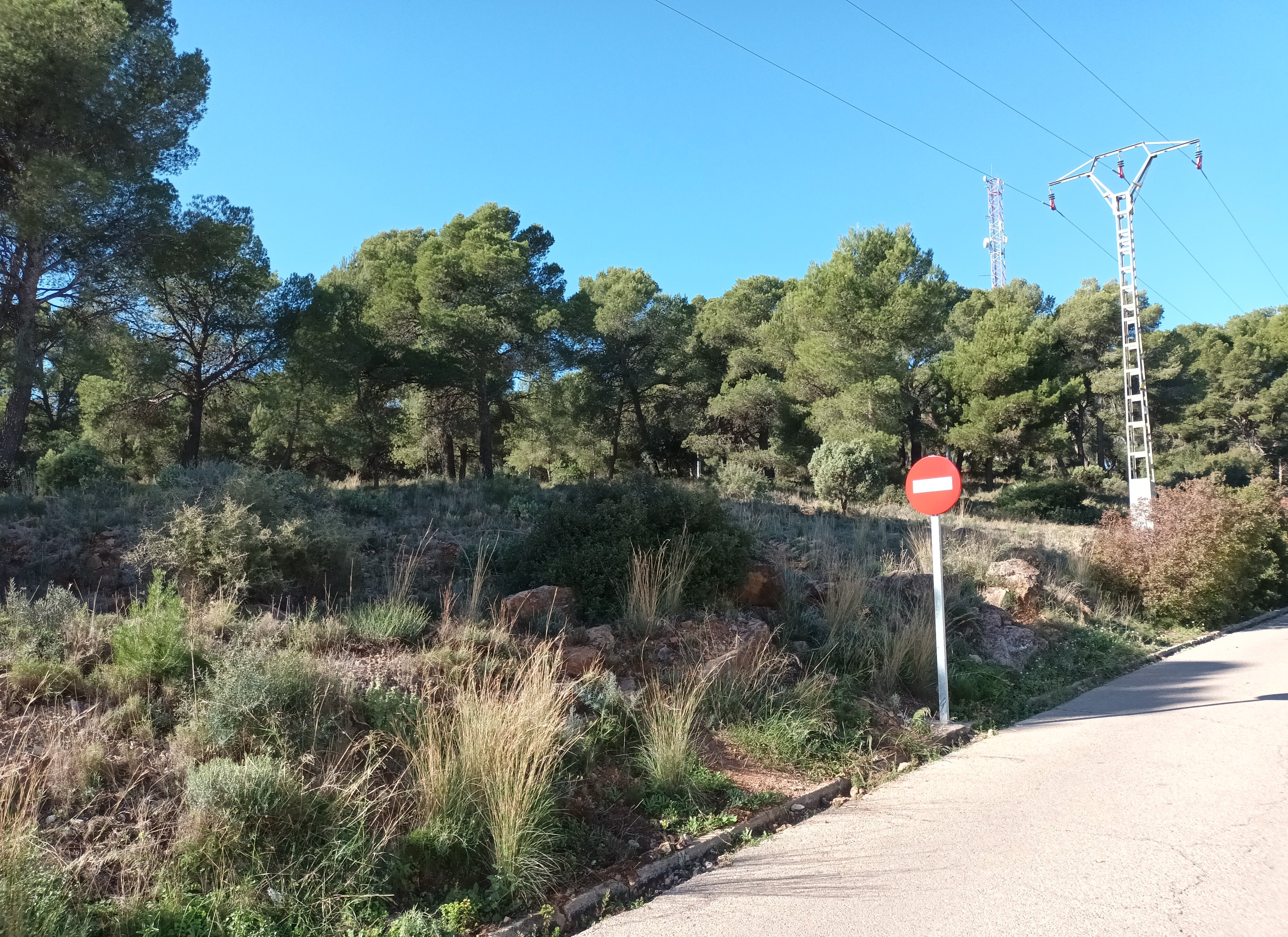 Descubre finca rstica en ctravesia sant francesc n30 parcela 107 Serra por 121000 de 2346m