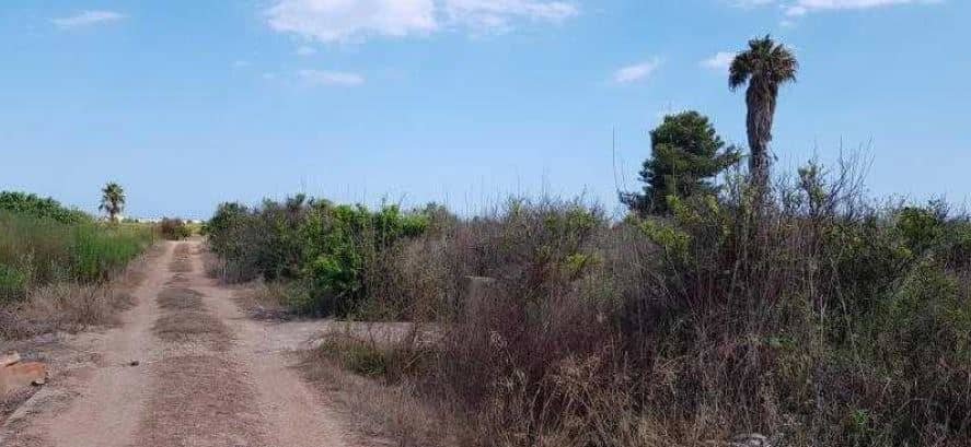 Suelo rústico no urbanizable en venta en Calle Seits, Baj, 12520, Nules Castellón