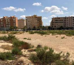 Urbanizable No Programado en venta  en Lugar Carrus Poligono Industrial Elche Alicante