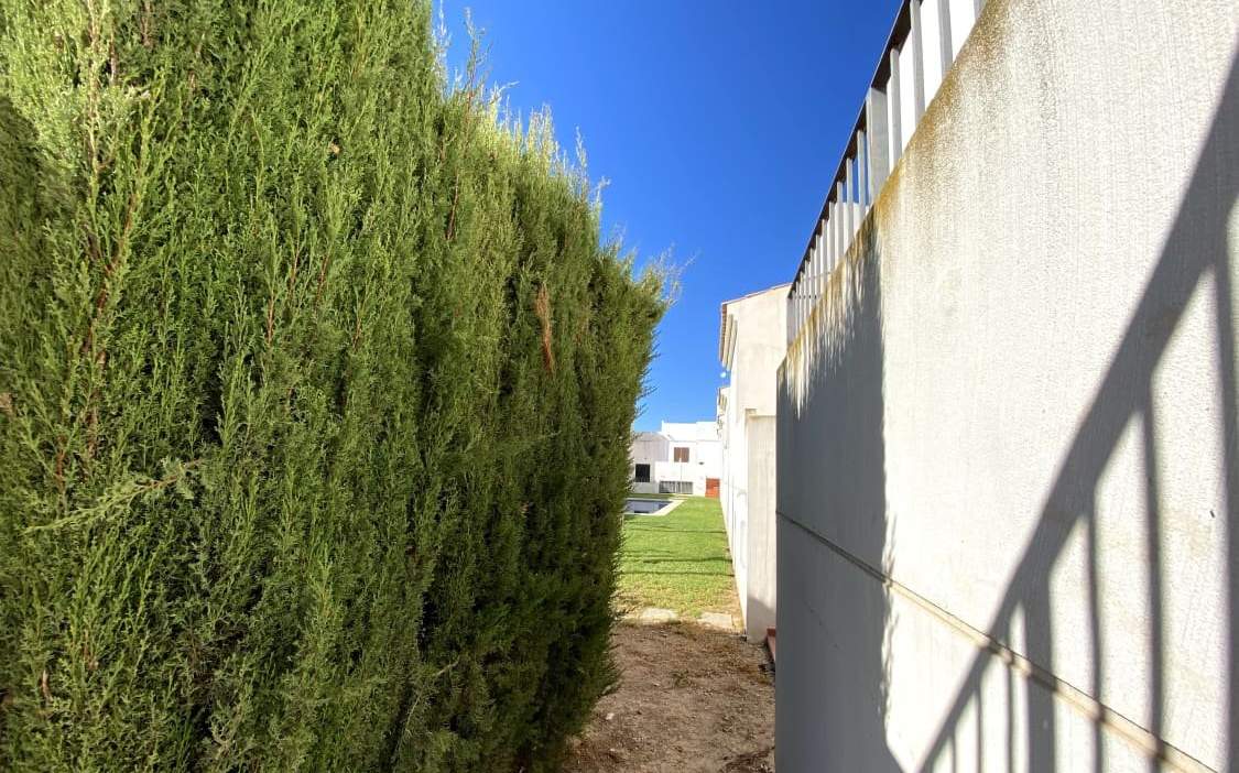 Dplex en venta en Calle De La Retama Torre-Pacheco Murcia