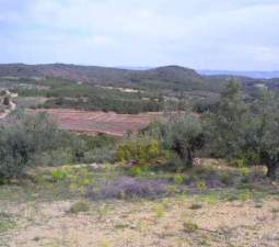 No Urbanizable Rstico en venta  en Partida Loma La Segorbe Castelln