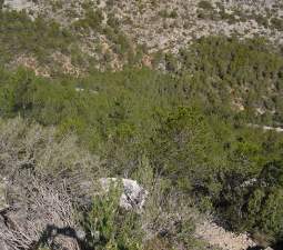 Suelo otros Alcal? de Xivert