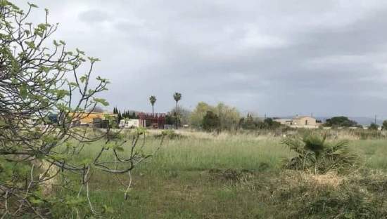 Suelo Rstico No Urbanizable en venta en Avenida Setze De Juliol Burriana Castelln