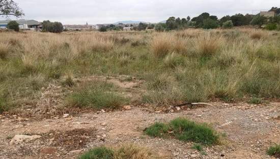 Suelo urbanizable residencial a la venta en calle safareig. paraje casablanca, parcela 270 del polig Pobla de Vallbona la de 2.752m