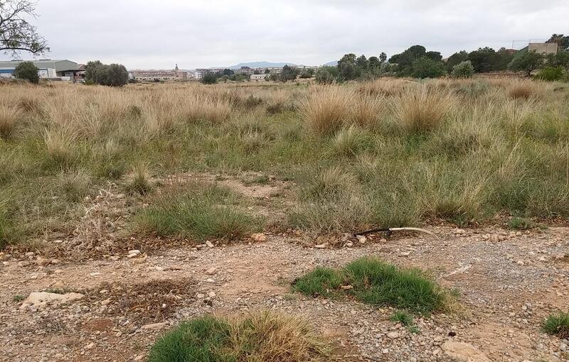 Suelo urbanizable residencial a la venta en calle safareig. paraje casablanca, parcela 270 del polig Pobla de Vallbona la de 2.752m