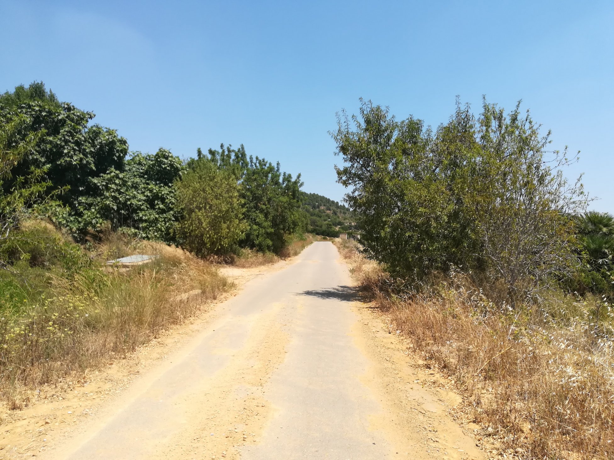 No Urbanizable Rstico en venta  en  Murtal Poligono 2 Parcela 782 Godelleta Valencia