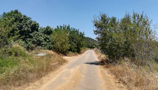 No Urbanizable Rstico en venta  en  Murtal Poligono 2 Parcela 782 Godelleta Valencia