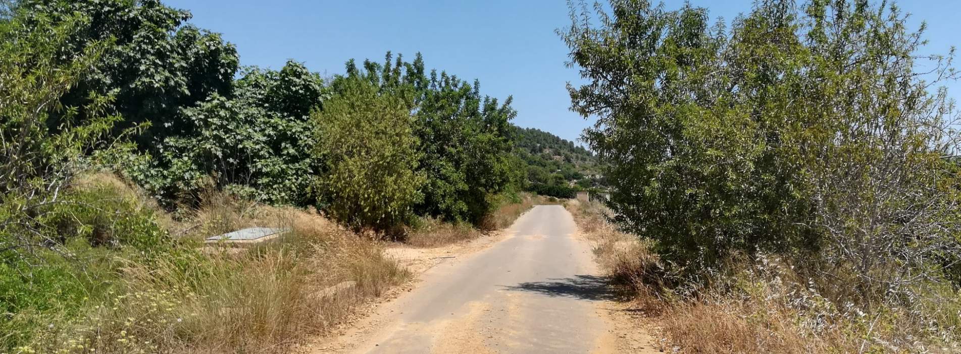 No Urbanizable Rstico en venta  en  Murtal Poligono 2 Parcela 782 Godelleta Valencia