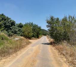No Urbanizable Rstico en venta  en  Murtal Poligono 2 Parcela 782 Godelleta Valencia