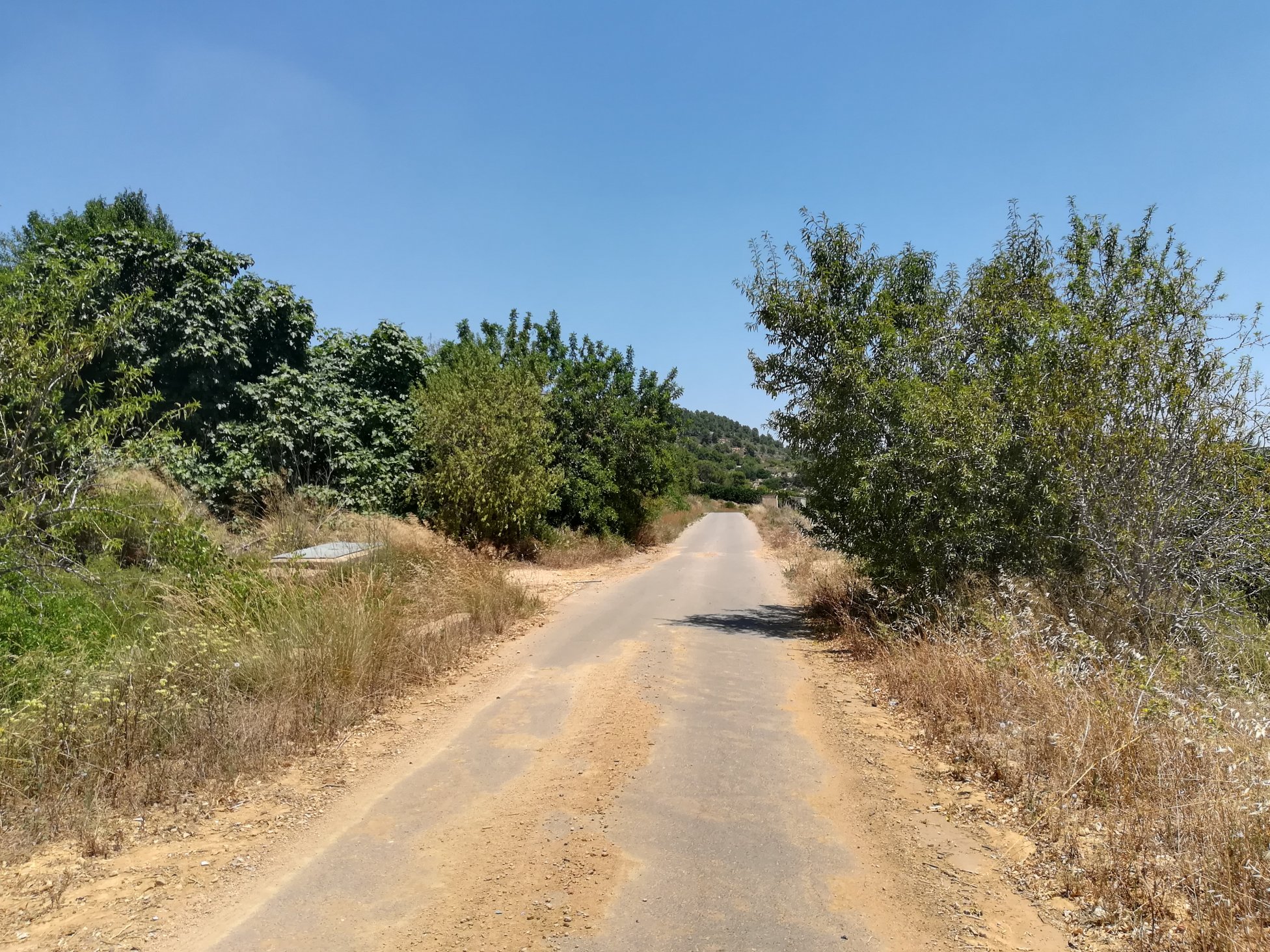 No Urbanizable Rstico en venta  en  Murtal Poligono 2 Parcela 782 Godelleta Valencia