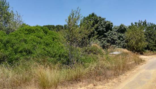No Urbanizable Rstico en venta  en  Murtal Poligono 2 Parcela 782 Godelleta Valencia