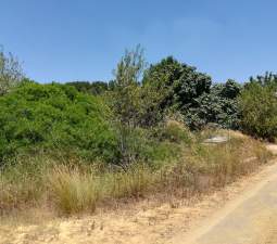 No Urbanizable Rstico en venta  en  Murtal Poligono 2 Parcela 782 Godelleta Valencia