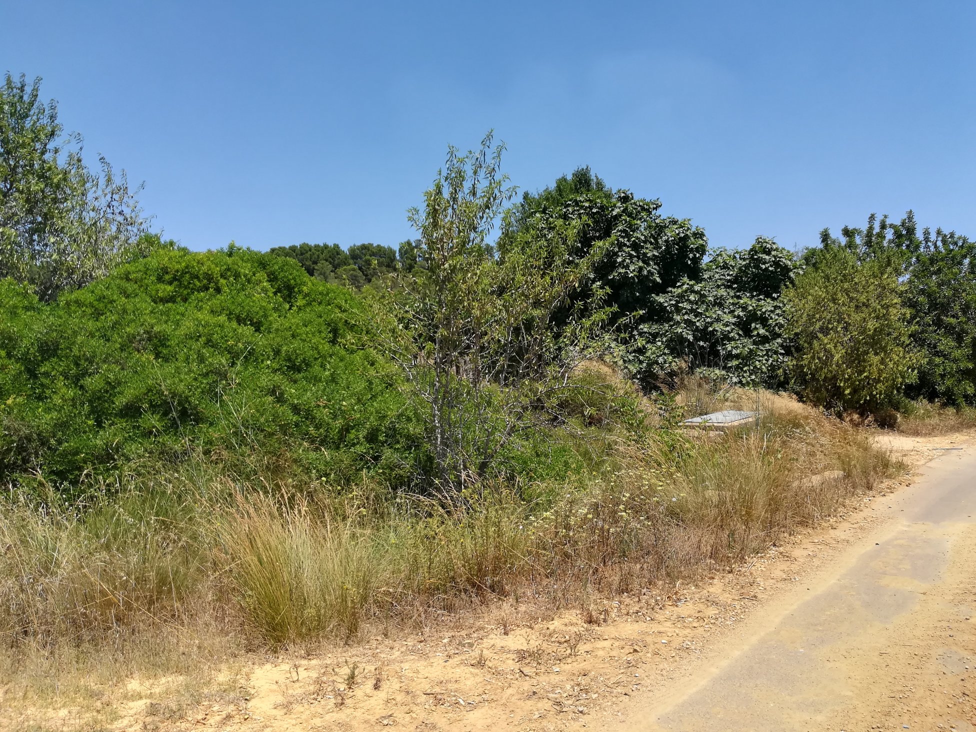 No Urbanizable Rstico en venta  en  Murtal Poligono 2 Parcela 782 Godelleta Valencia