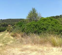 No Urbanizable Rstico en venta  en  Murtal Poligono 2 Parcela 782 Godelleta Valencia