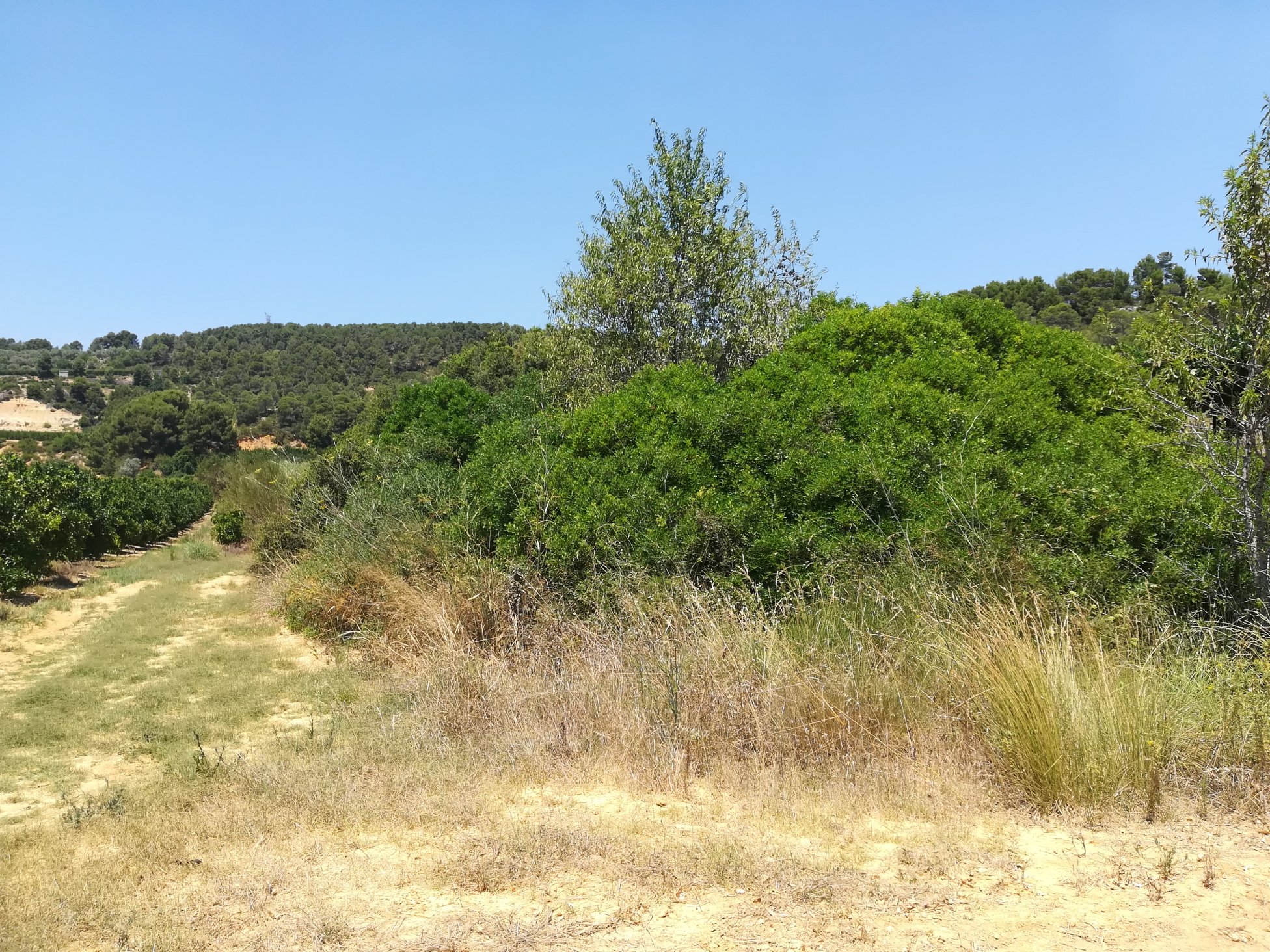 No Urbanizable Rstico en venta  en  Murtal Poligono 2 Parcela 782 Godelleta Valencia