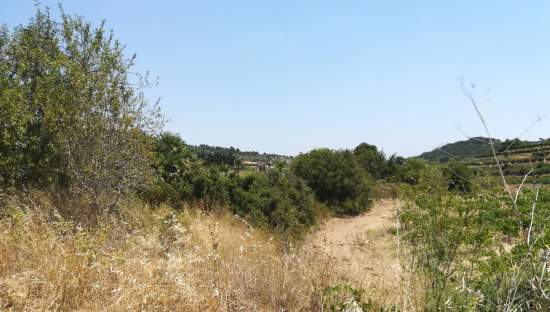 No Urbanizable Rstico en venta  en  Murtal Poligono 2 Parcela 782 Godelleta Valencia