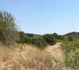 No Urbanizable Rstico en venta  en  Murtal Poligono 2 Parcela 782 Godelleta Valencia