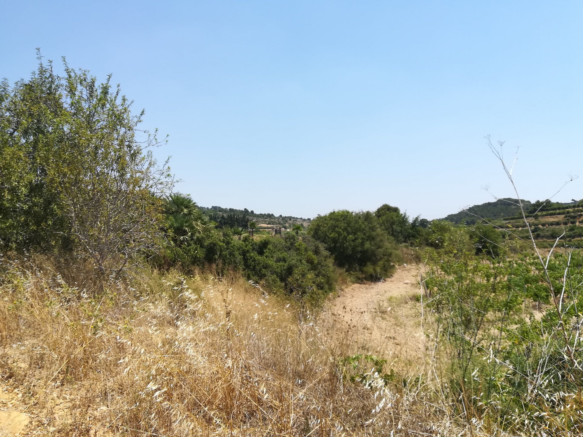 No Urbanizable Rstico en venta  en  Murtal Poligono 2 Parcela 782 Godelleta Valencia