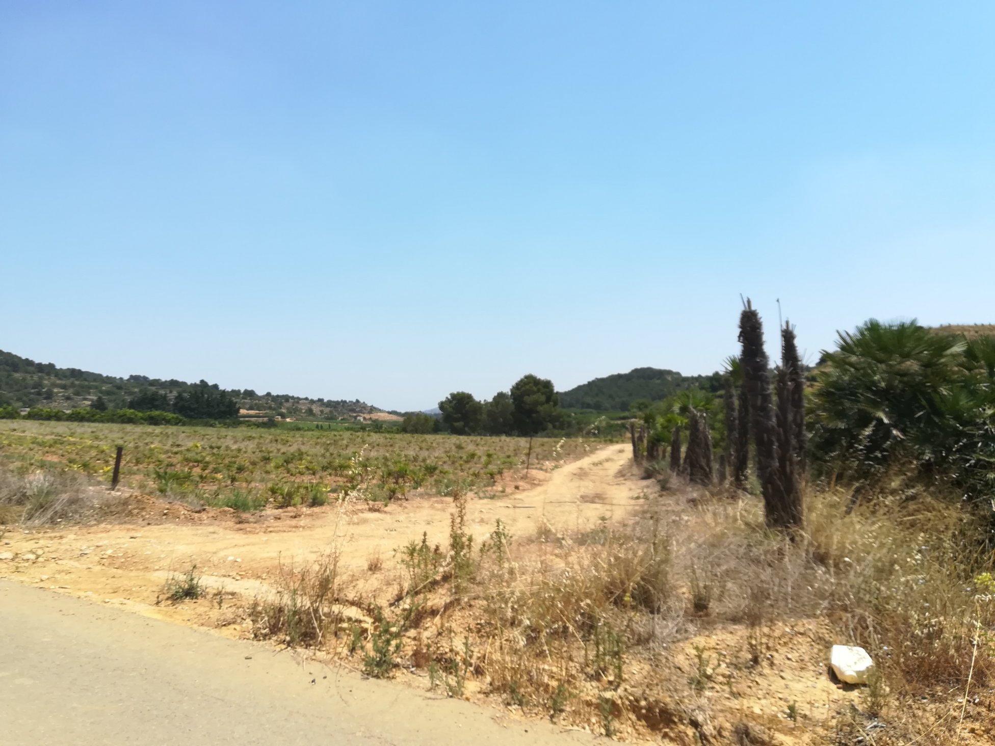 No Urbanizable Rstico en venta  en  Murtal Poligono 2 Parcela 782 Godelleta Valencia