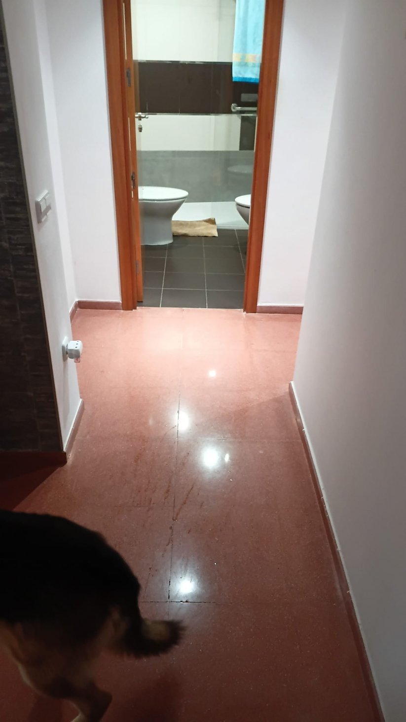 Piso en venta en Benicarló, Castellón