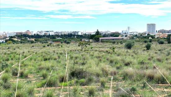 Suelo En Venta En Xx Partida Mestrets, Castellón De La Planacastelló De La Plana